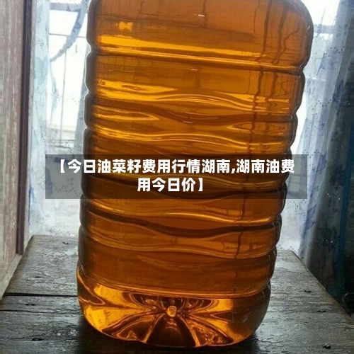 【今日油菜籽费用行情湖南,湖南油费用今日价】-第3张图片