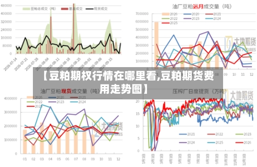 【豆粕期权行情在哪里看,豆粕期货费用走势图】-第3张图片