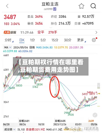 【豆粕期权行情在哪里看,豆粕期货费用走势图】-第2张图片