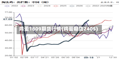 鸡蛋1809期货行情(鸡蛋期货2405)