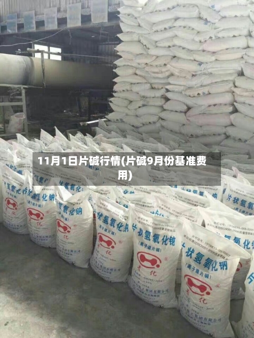 11月1日片碱行情(片碱9月份基准费用)-第2张图片