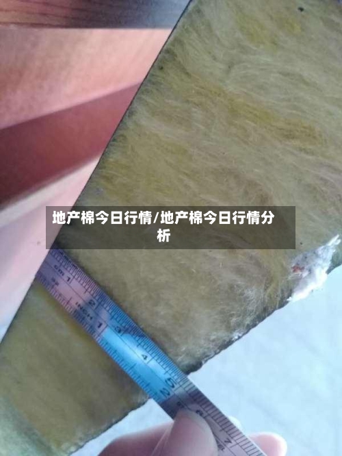 地产棉今日行情/地产棉今日行情分析-第3张图片