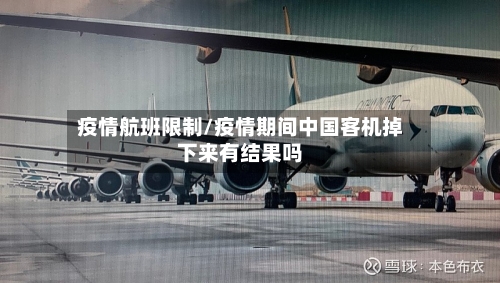 疫情航班限制/疫情期间中国客机掉下来有结果吗
