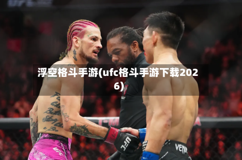 浮空格斗手游(ufc格斗手游下载2026)-第3张图片
