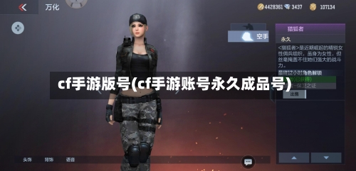 cf手游版号(cf手游账号永久成品号)