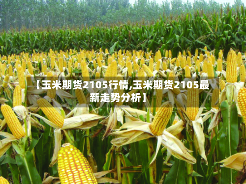 【玉米期货2105行情,玉米期货2105最新走势分析】-第3张图片