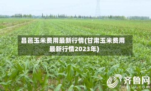昌邑玉米费用最新行情(甘肃玉米费用最新行情2023年)