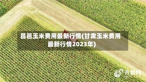 昌邑玉米费用最新行情(甘肃玉米费用最新行情2023年)-第2张图片