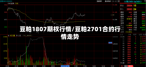 豆粕1807期权行情/豆粕2701合约行情走势