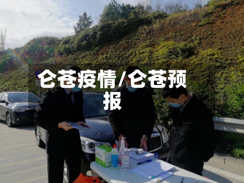仑苍疫情/仑苍预报-第2张图片