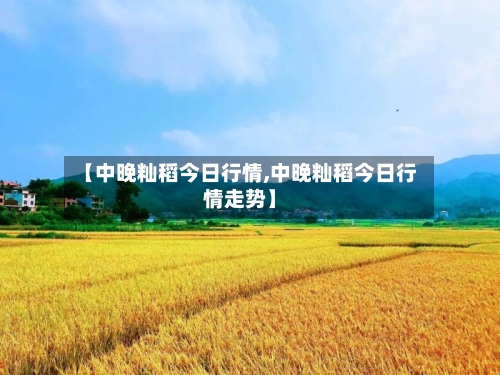 【中晚籼稻今日行情,中晚籼稻今日行情走势】