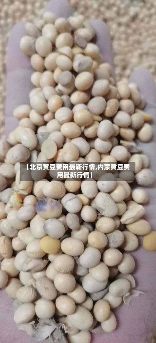 【北京黄豆费用最新行情,内蒙黄豆费用最新行情】