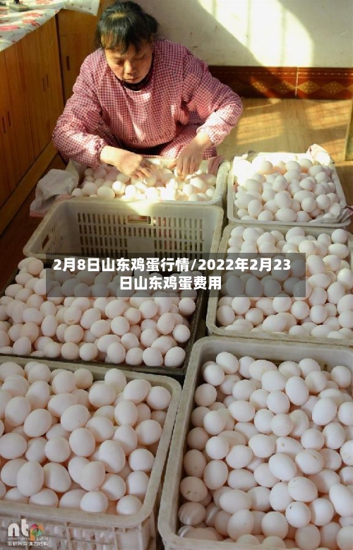 2月8日山东鸡蛋行情/2022年2月23日山东鸡蛋费用-第2张图片