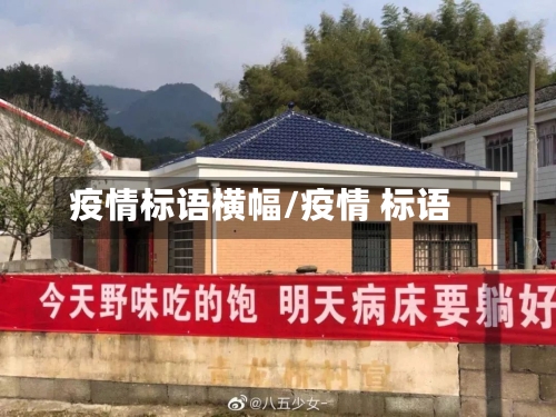疫情标语横幅/疫情 标语-第3张图片