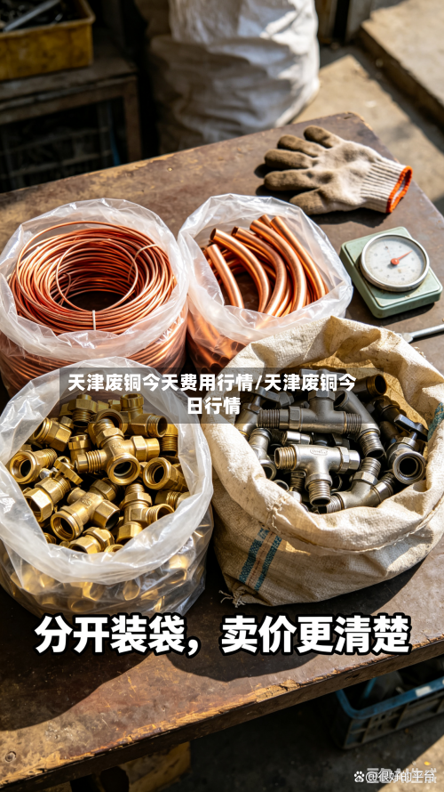天津废铜今天费用行情/天津废铜今日行情