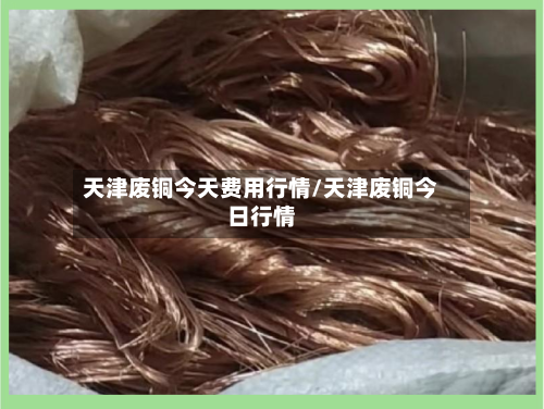 天津废铜今天费用行情/天津废铜今日行情-第2张图片