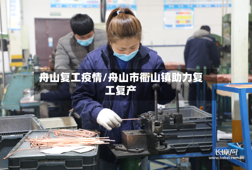 舟山复工疫情/舟山市衢山镇助力复工复产