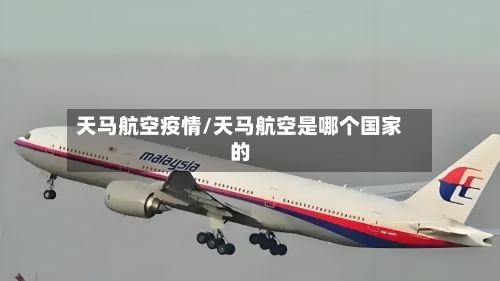 天马航空疫情/天马航空是哪个国家的-第2张图片