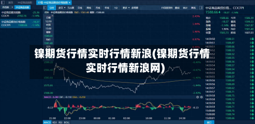 镍期货行情实时行情新浪(镍期货行情实时行情新浪网)