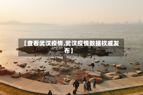 【查看武汉疫情,武汉疫情数据权威发布】-第3张图片