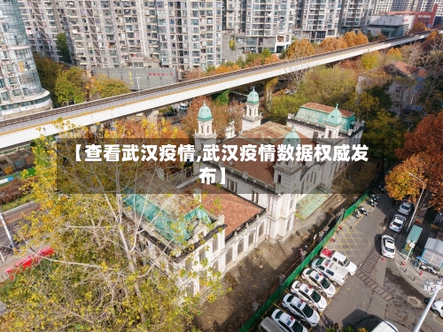 【查看武汉疫情,武汉疫情数据权威发布】