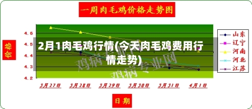 2月1肉毛鸡行情(今天肉毛鸡费用行情走势)