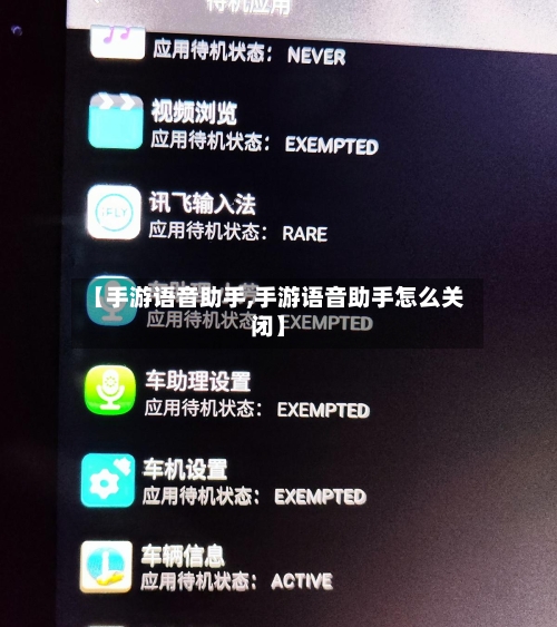 【手游语音助手,手游语音助手怎么关闭】-第3张图片