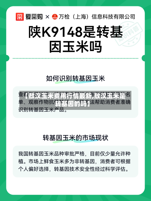 【敖汉玉米费用行情最新,敖汉玉米是转基因的吗】