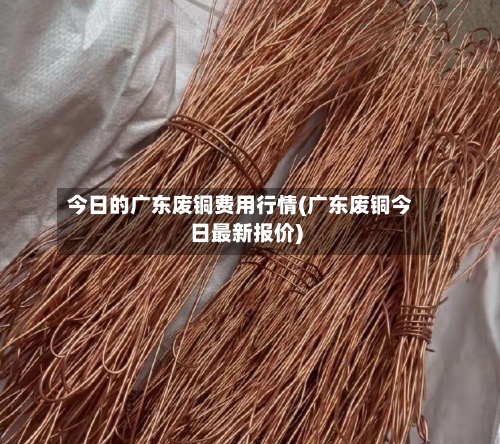 今日的广东废铜费用行情(广东废铜今日最新报价)