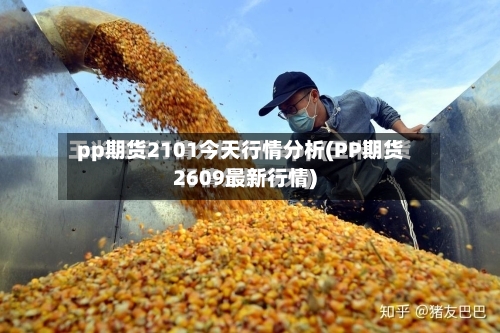 pp期货2101今天行情分析(PP期货2609最新行情)-第3张图片