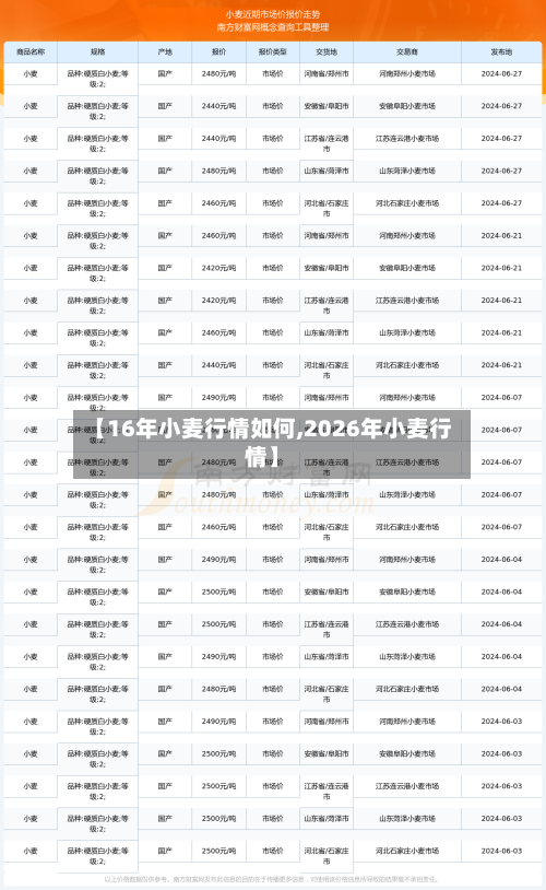 【16年小麦行情如何,2026年小麦行情】-第2张图片