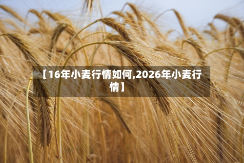 【16年小麦行情如何,2026年小麦行情】
