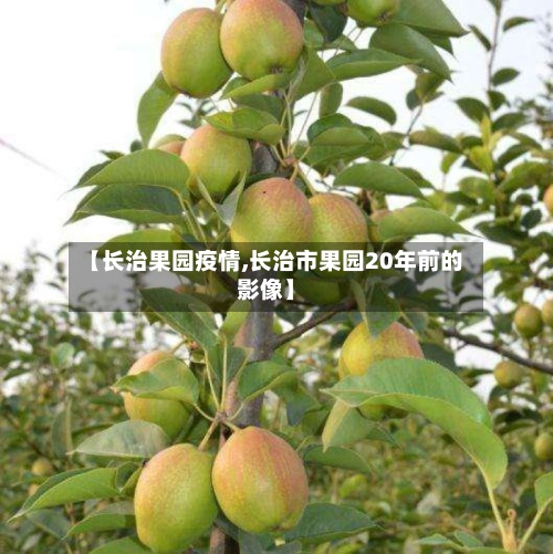【长治果园疫情,长治市果园20年前的影像】-第2张图片
