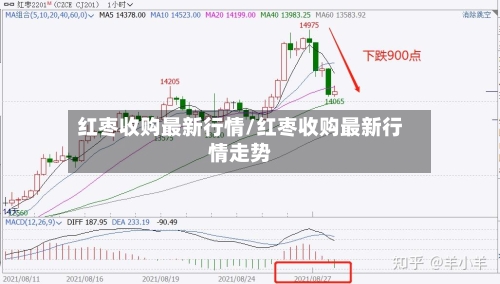 红枣收购最新行情/红枣收购最新行情走势-第3张图片