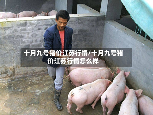 十月九号猪价江苏行情/十月九号猪价江苏行情怎么样