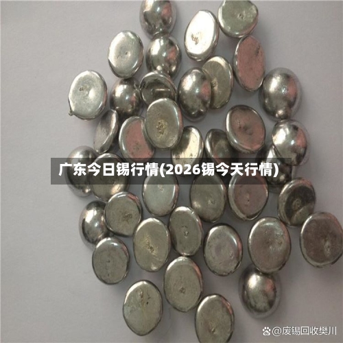 广东今日锡行情(2026锡今天行情)-第3张图片