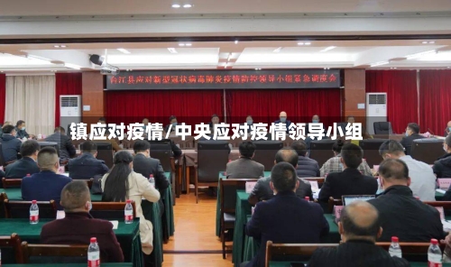 镇应对疫情/中央应对疫情领导小组-第3张图片