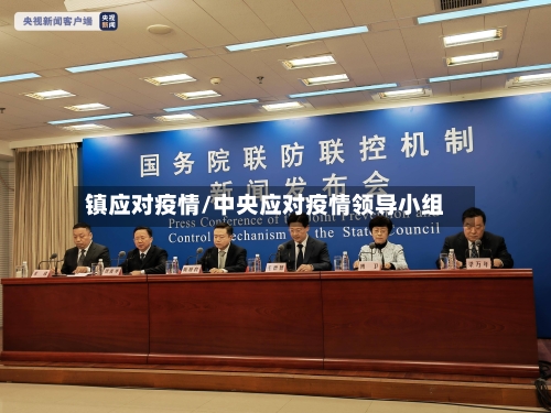 镇应对疫情/中央应对疫情领导小组
