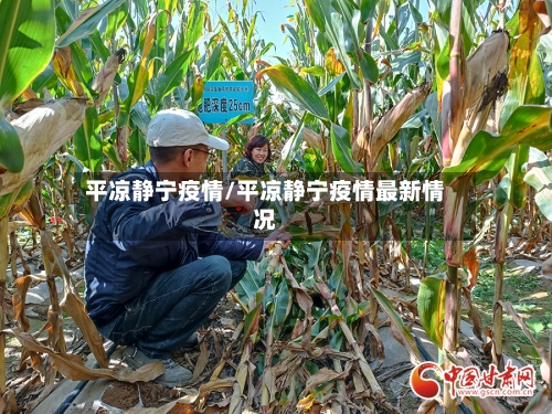 平凉静宁疫情/平凉静宁疫情最新情况