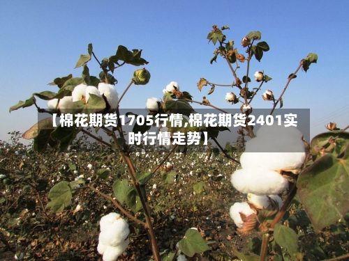 【棉花期货1705行情,棉花期货2401实时行情走势】