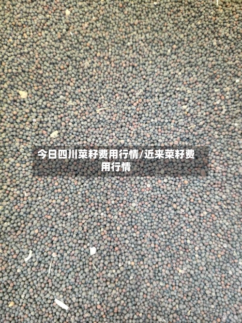 今日四川菜籽费用行情/近来菜籽费用行情-第2张图片