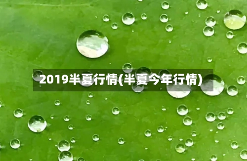 2019半夏行情(半夏今年行情)