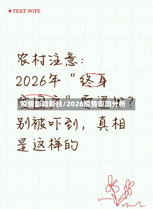 疫情影响帮扶/2026疫情影响分析