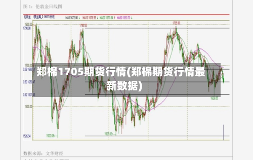 郑棉1705期货行情(郑棉期货行情最新数据)-第2张图片