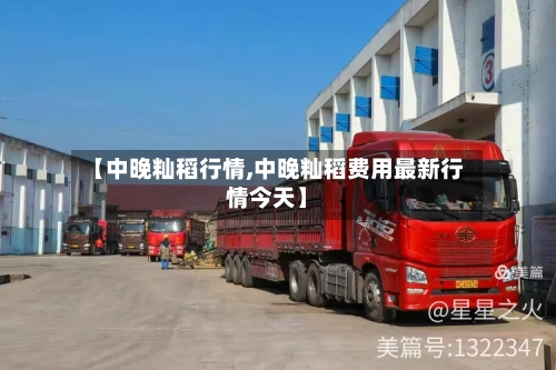 【中晚籼稻行情,中晚籼稻费用最新行情今天】-第3张图片