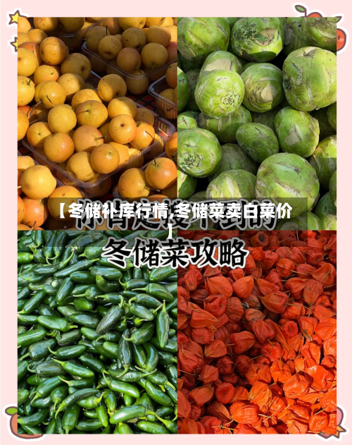 【冬储补库行情,冬储菜卖白菜价】