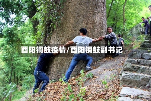 酉阳铜鼓疫情/酉阳铜鼓副书记