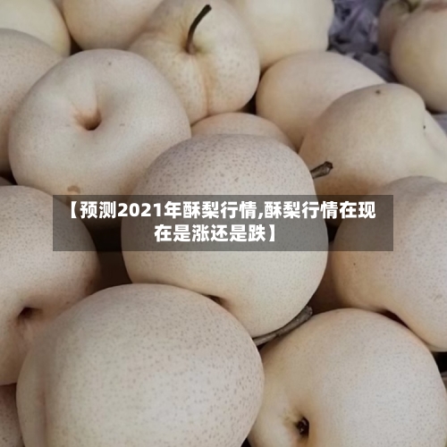 【预测2021年酥梨行情,酥梨行情在现在是涨还是跌】-第2张图片