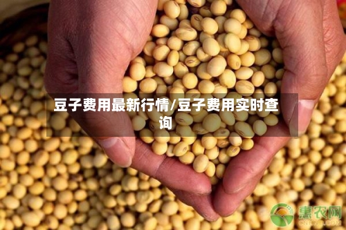 豆子费用最新行情/豆子费用实时查询