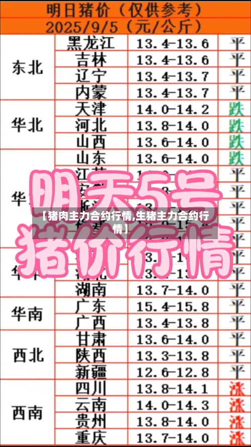 【猪肉主力合约行情,生猪主力合约行情】